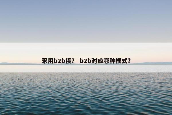 采用b2b接？ b2b对应哪种模式？