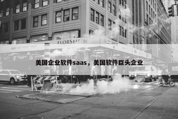 美国企业软件saas，美国软件巨头企业