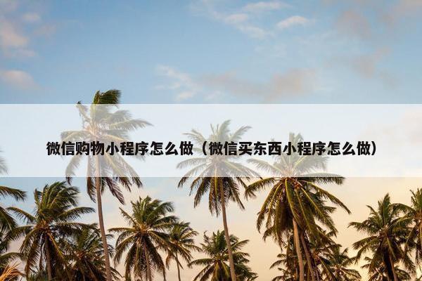 微信购物小程序怎么做（微信买东西小程序怎么做）