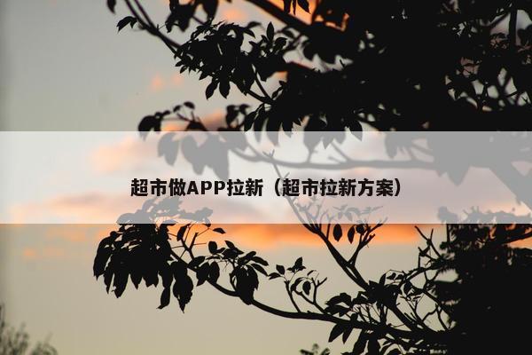 超市做APP拉新（超市拉新方案）