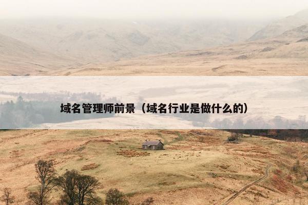 域名管理师前景（域名行业是做什么的）