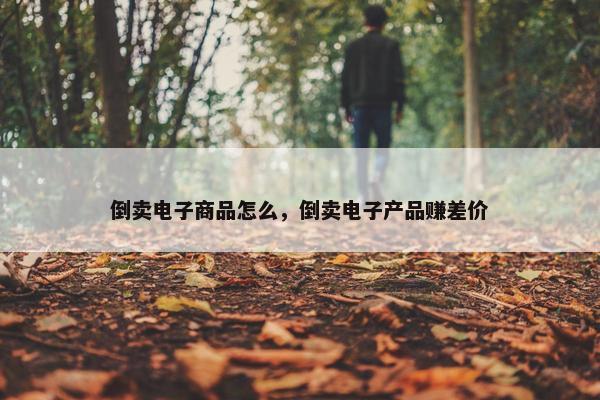 倒卖电子商品怎么，倒卖电子产品赚差价