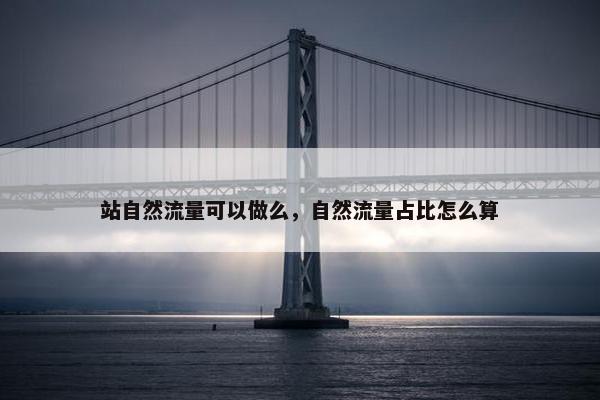 站自然流量可以做么，自然流量占比怎么算