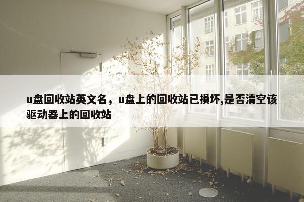 u盘回收站英文名，u盘上的回收站已损坏,是否清空该驱动器上的回收站