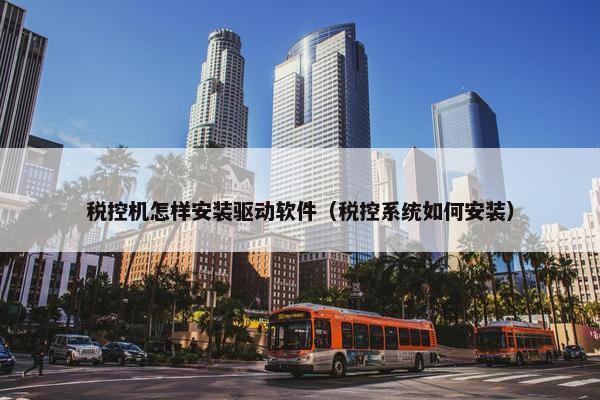 税控机怎样安装驱动软件（税控系统如何安装）