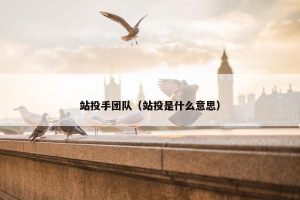 站投手团队（站投是什么意思）
