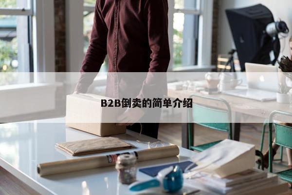 B2B倒卖的简单介绍