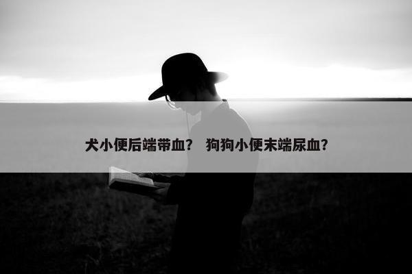犬小便后端带血？ 狗狗小便末端尿血？