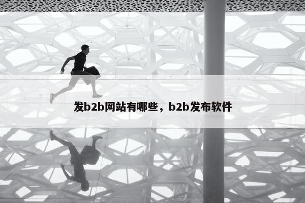 发b2b网站有哪些，b2b发布软件