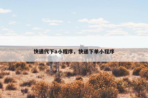 快递代下a小程序，快递下单小程序