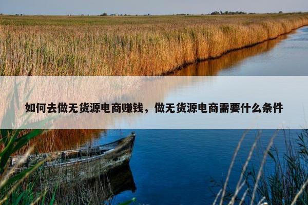 如何去做无货源电商赚钱，做无货源电商需要什么条件
