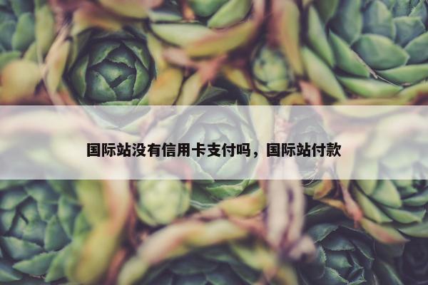 国际站没有信用卡支付吗，国际站付款
