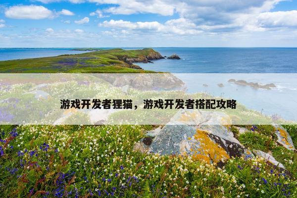 游戏开发者狸猫，游戏开发者搭配攻略