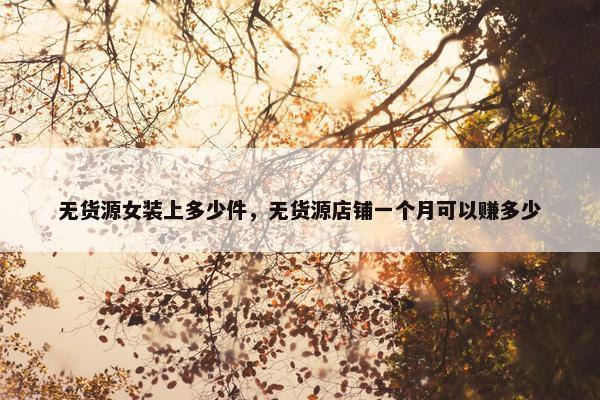 无货源女装上多少件，无货源店铺一个月可以赚多少
