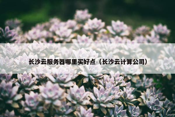 长沙云服务器哪里买好点（长沙云计算公司）
