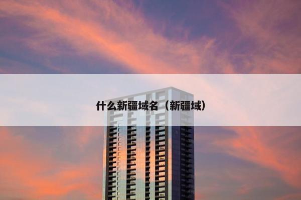什么新疆域名（新疆域）