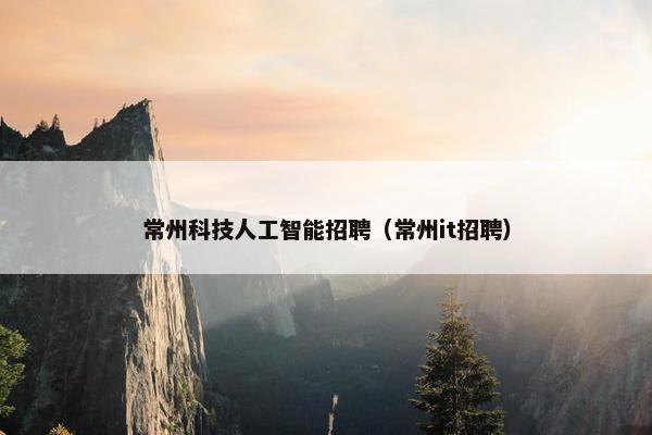 常州科技人工智能招聘（常州it招聘）