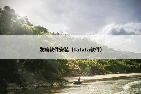 发疯软件安装（fafafa软件）