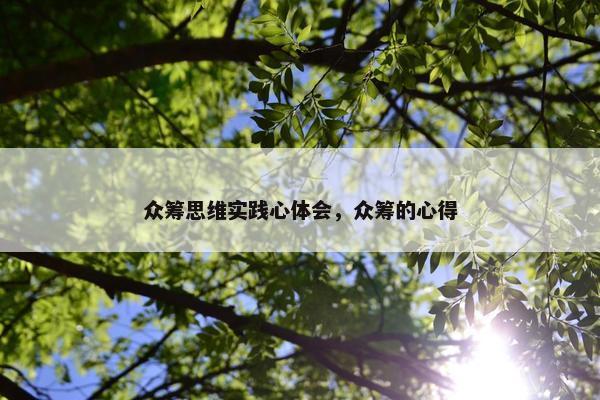众筹思维实践心体会，众筹的心得