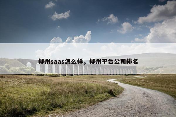 柳州saas怎么样，柳州平台公司排名
