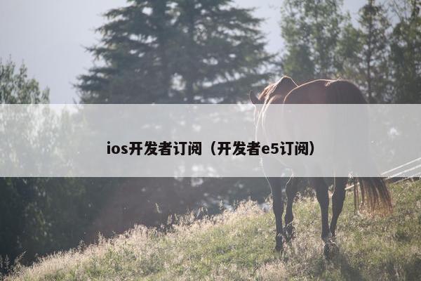 ios开发者订阅（开发者e5订阅）