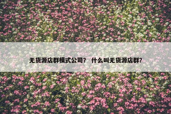 无货源店群模式公司？ 什么叫无货源店群？