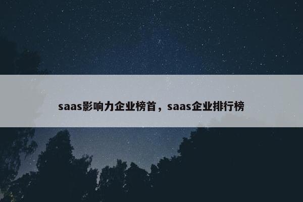 saas影响力企业榜首，saas企业排行榜