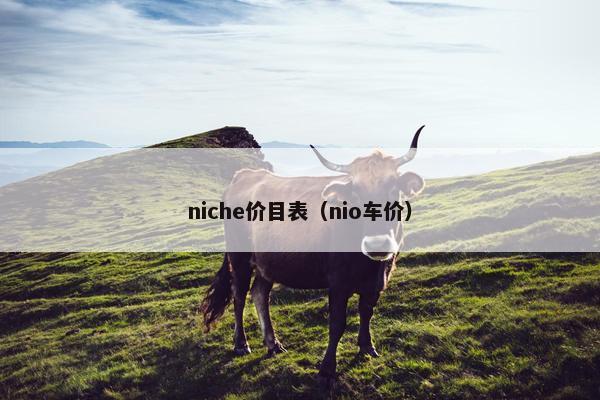 niche价目表（nio车价）