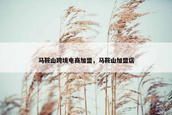 马鞍山跨境电商加盟，马鞍山加盟店