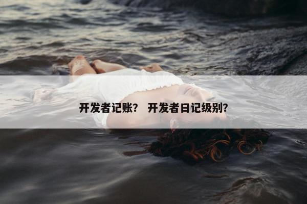 开发者记账？ 开发者日记级别？