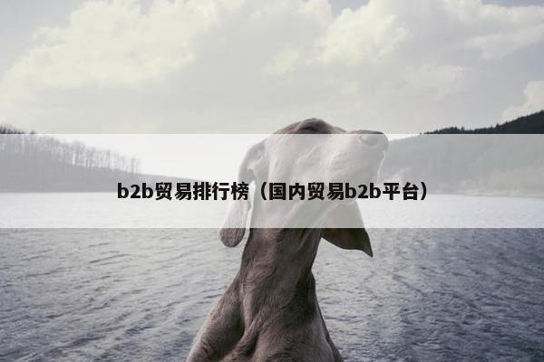 b2b贸易排行榜（国内贸易b2b平台）