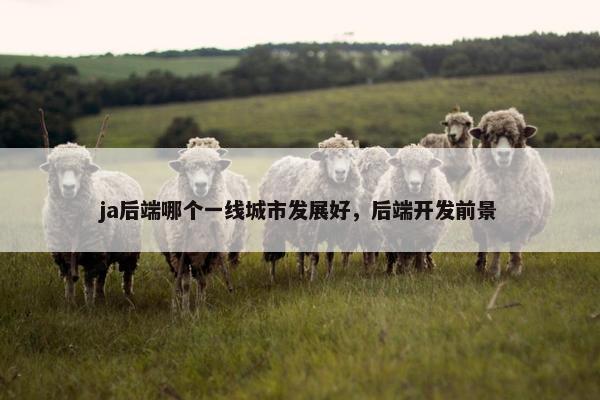 ja后端哪个一线城市发展好，后端开发前景