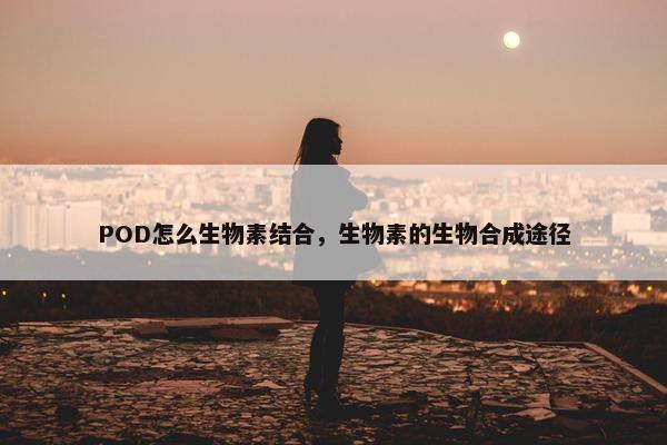 POD怎么生物素结合，生物素的生物合成途径