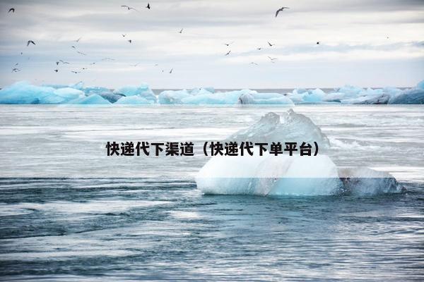 快递代下渠道（快递代下单平台）