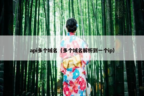 api多个域名（多个域名解析到一个ip）