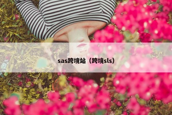 sas跨境站（跨境sls）