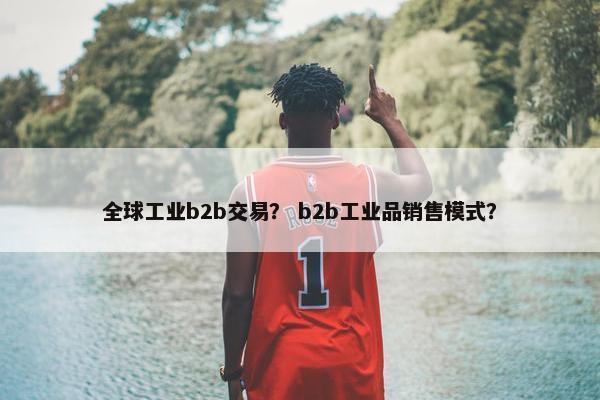 全球工业b2b交易？ b2b工业品销售模式？