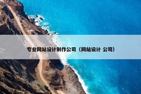 专业网站设计制作公司（网站设计 公司）