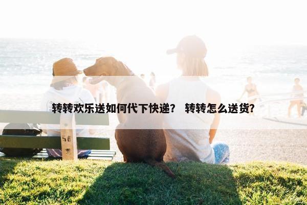 转转欢乐送如何代下快递？ 转转怎么送货？