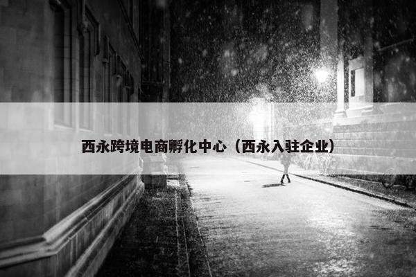 西永跨境电商孵化中心（西永入驻企业）