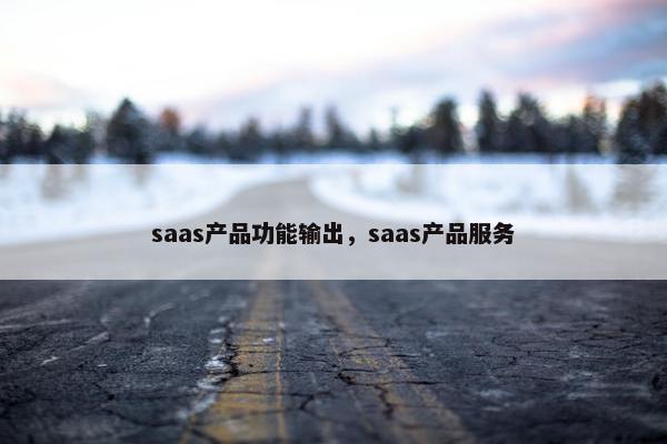 saas产品功能输出，saas产品服务