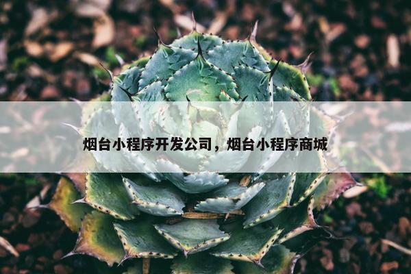 烟台小程序开发公司，烟台小程序商城