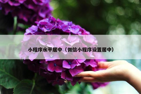 小程序水平居中（微信小程序设置居中）