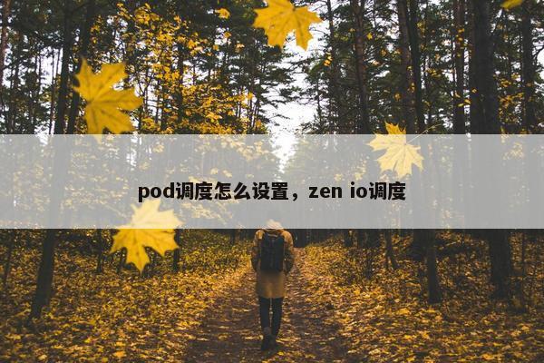 pod调度怎么设置，zen io调度