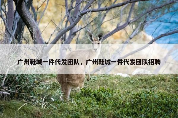 广州鞋城一件代发团队，广州鞋城一件代发团队招聘