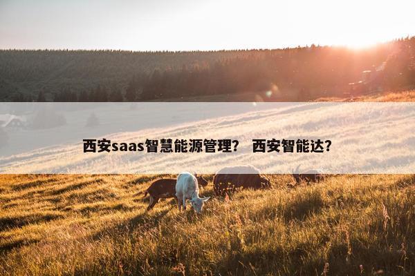 西安saas智慧能源管理？ 西安智能达？