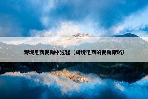 跨境电商促销中过程（跨境电商的促销策略）