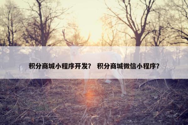 积分商城小程序开发？ 积分商城微信小程序？