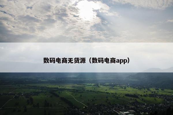 数码电商无货源（数码电商app）