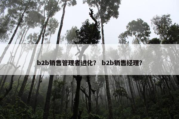 b2b销售管理者进化？ b2b销售经理？